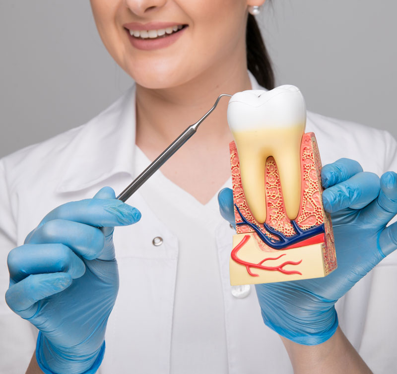walk-in Dental Clinic in Scarborough Image
